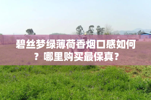碧丝梦绿薄荷香烟口感如何？哪里购买最保真？